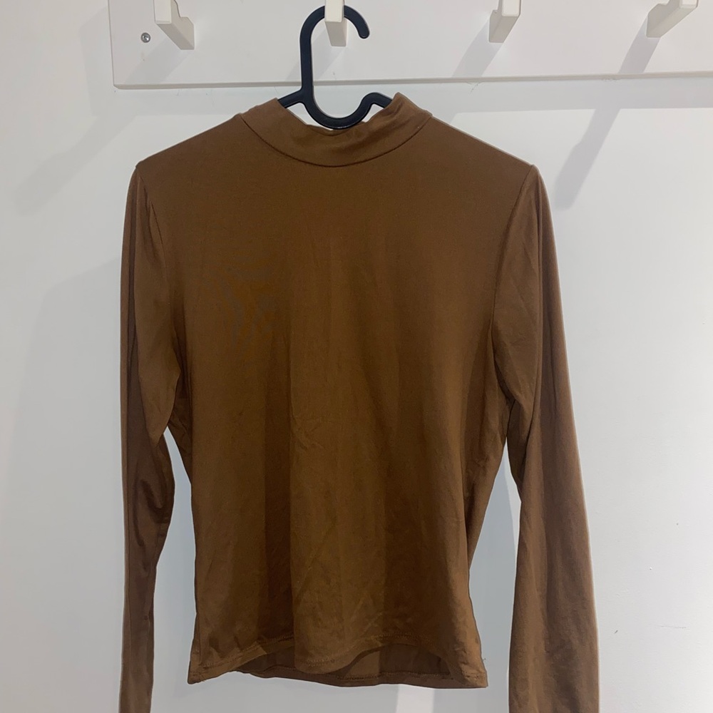 Brown Turtleneck
